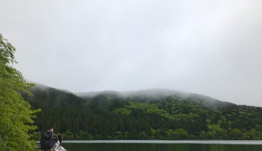【心と体を元気にする森林浴ウォーク】芦ノ湖の隠れおすすめスポット『箱根やすらぎの森』で日常の喧騒から離れてみよう。